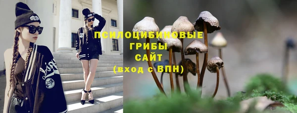 круглые Аркадак