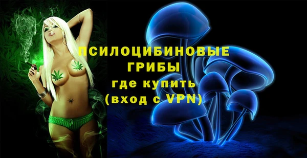 PSILOCYBIN Армянск