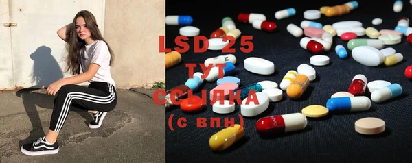 PSILOCYBIN Армянск