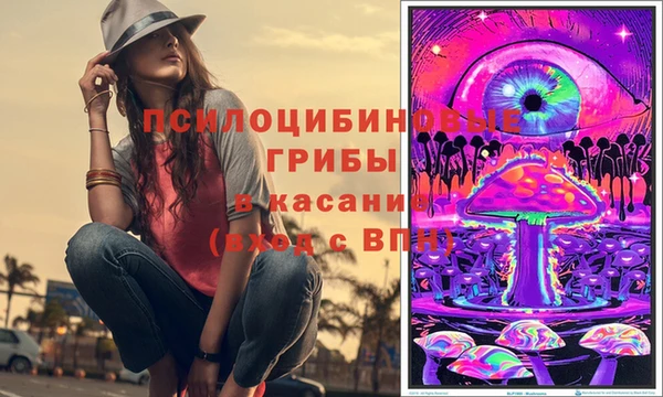 гидропоника Арсеньев